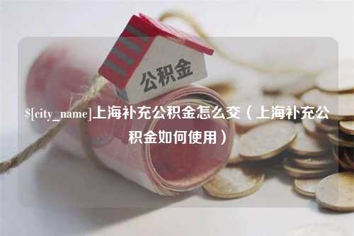 慈利上海补充公积金怎么交（上海补充公积金如何使用）